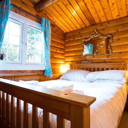 Woodpecker 3 Bedroom Trawsfyndd Holiday Village - Hosted By Seren Property Trawsfynydd Buitenkant foto