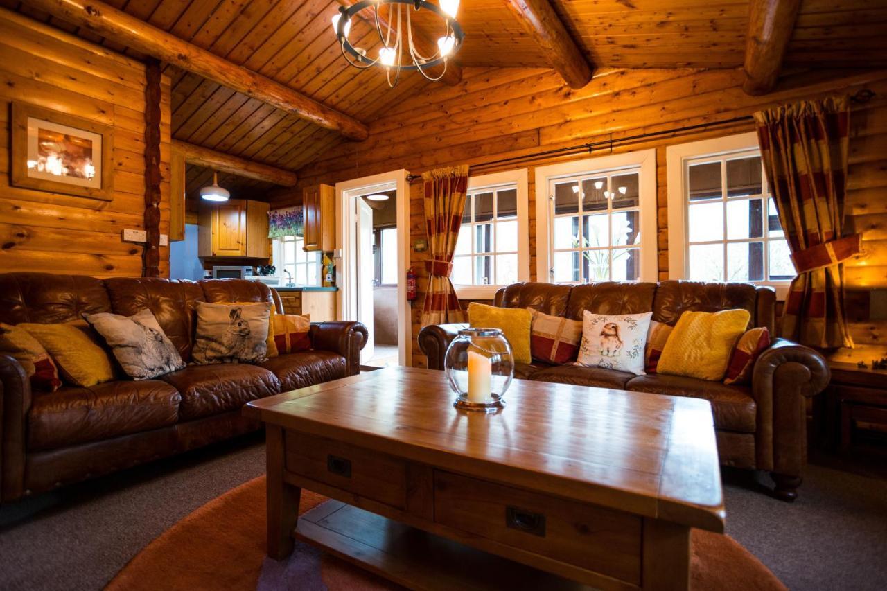 Woodpecker 3 Bedroom Trawsfyndd Holiday Village - Hosted By Seren Property Trawsfynydd Buitenkant foto